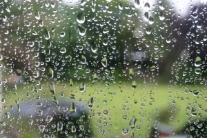 rain drops on window pane