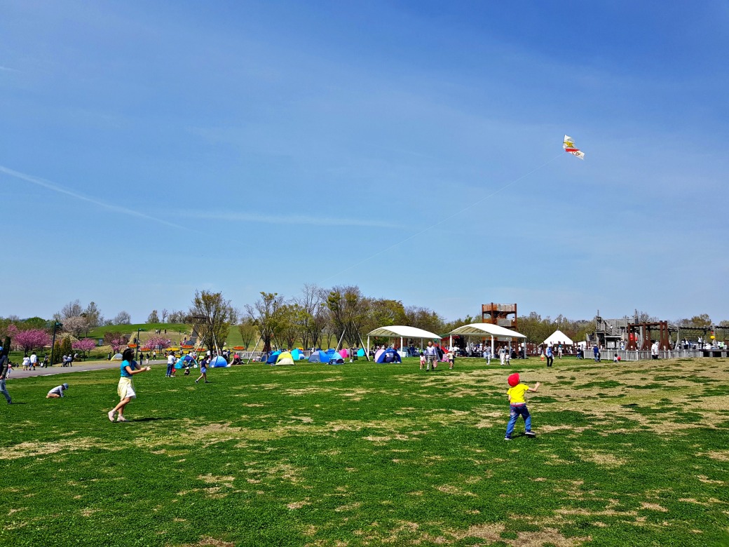 pb fly kite