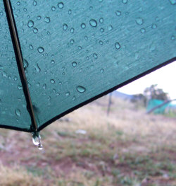 umbrella-with-raindrops